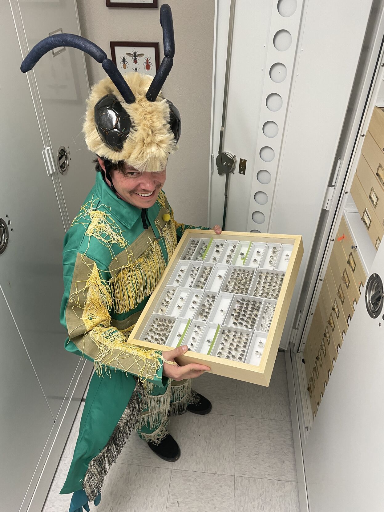 bug-festival